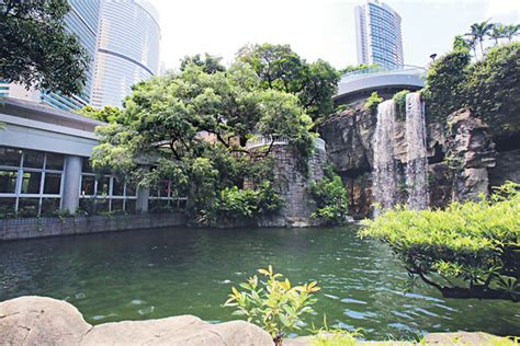 香港公園大道：探索香港的奢華綠洲