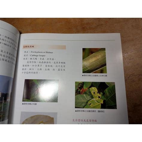 香港毛蟲百科全書：種類、生態與防治