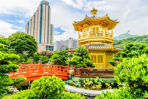 香港｜大嶼山寵物旅遊攻略