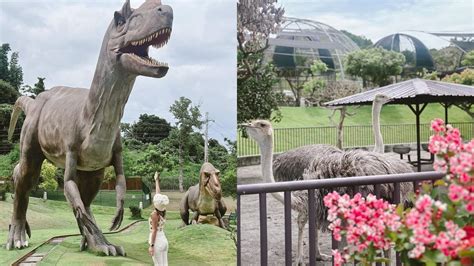 馬來西亞十大最具異國情調的動物園，擁有超過 10,000 種動物！