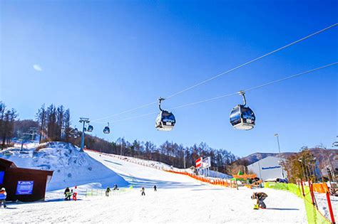 馳騁韓國雪原，體驗極致滑雪快感