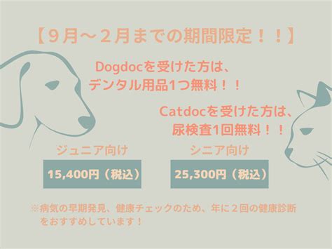 駅前通り動物病院でペットの健康と幸せを手に入れよう