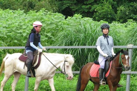 騎馬體驗價位：價格明細解析和選擇秘訣