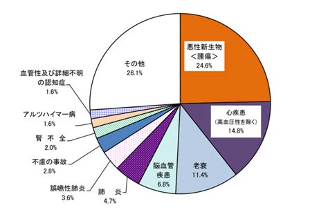 驚くべき統計によると、定期的な獣医診察を受けるペットは、受けないペットよりも寿命が平均2.5年長くなります。