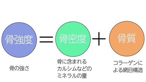 骨質環狀物