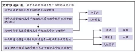 骨領優勢與應用