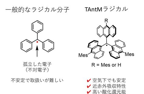 高い機能性