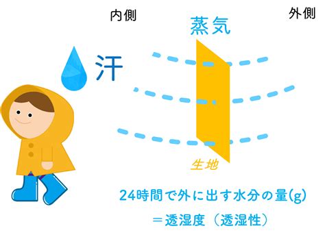 高い耐水性と透湿性：