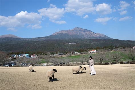 高千穗牧場：日本阿爾卑斯山脈的畜牧天堂