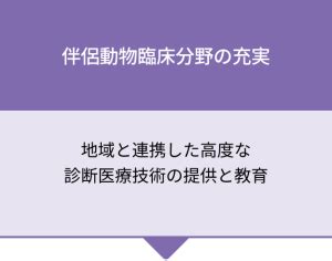 高品質の獣医療サービス