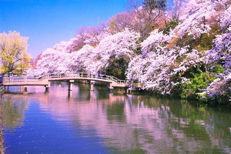 高岡 古城 公園