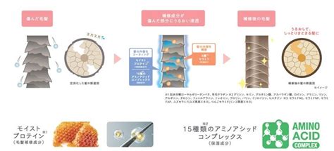 高温の熱が髪にダメージを与え、タンパク質構造を破壊し、その結果、脆弱で切れやすい髪になります。