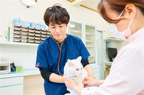 高田動物病院でペットの健康を守ろう！