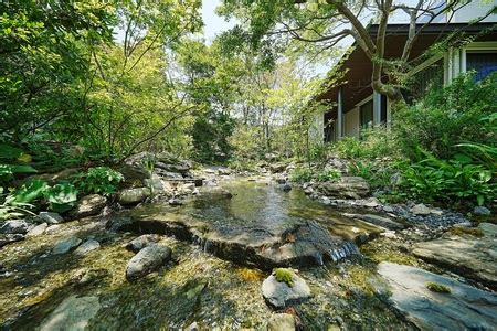 高知県で素晴らしい庭づくり