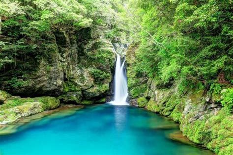 高知県の魅力を再発見！注目の観光スポットからグルメまで