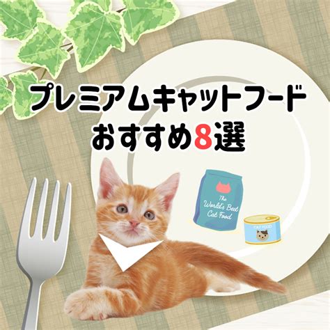 高級キャットフードの選び方とおすすめブランド