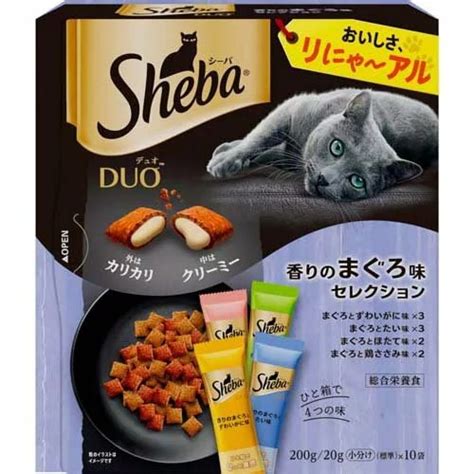 高級キャットフードの選び方とおすすめ商品徹底ガイド