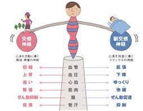 高齢うさぎの平衡感覚障害: よろける原因と対応方法