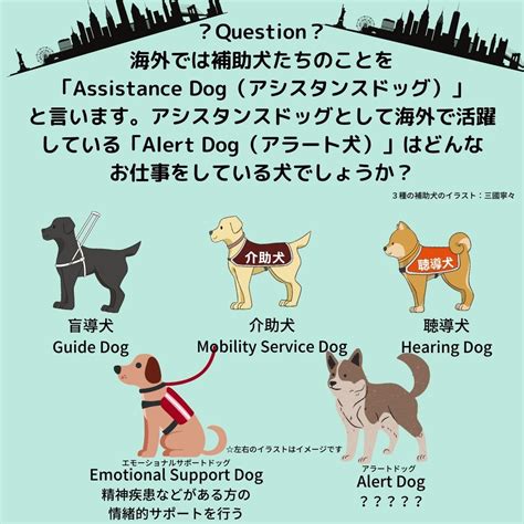 高齢者ホームのエモーショナルなセラピスト：介護犬の驚異的な利点