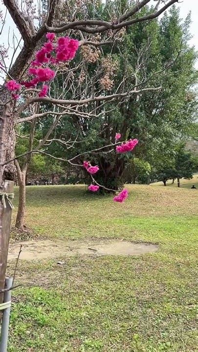 鬧中取靜，繁華中的靜謐港灣