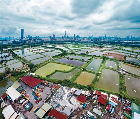 鬱金香滿佈台南3,000公頃！花季來了，前進全台最大鬱金香園