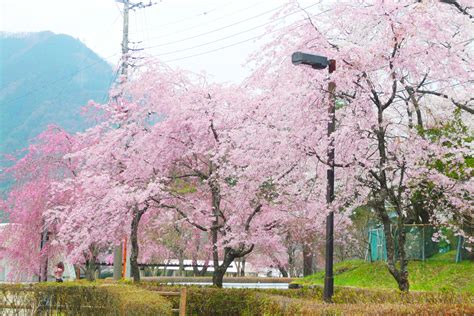 鬼怒川公園