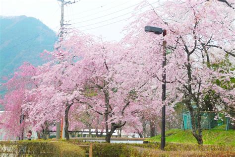 鬼怒川 公園