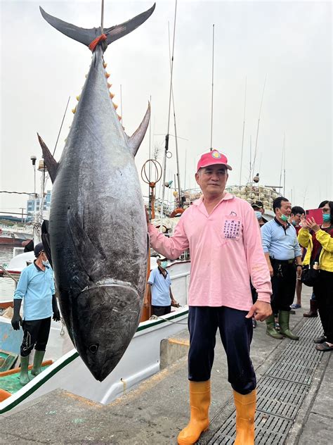 鮪魚：海洋中的寶石