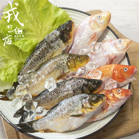 鯉魚：