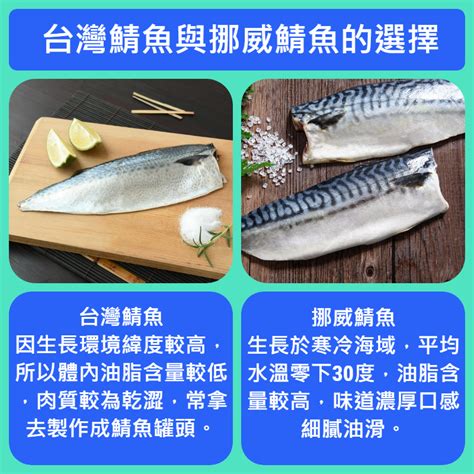 鯖魚，你的海洋保健超級食物