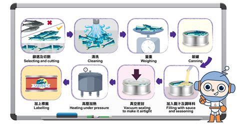 鯷魚罐頭的製程