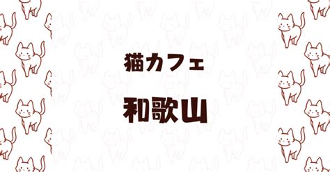 鳥栖で至福のひとときを！おすすめ猫カフェ徹底ガイド