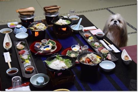 鳥羽グランドホテルで愛犬と贅沢なひとときを