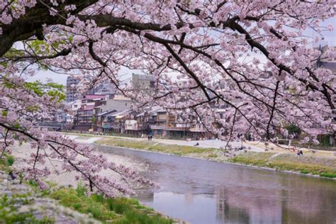 鴨川 景點