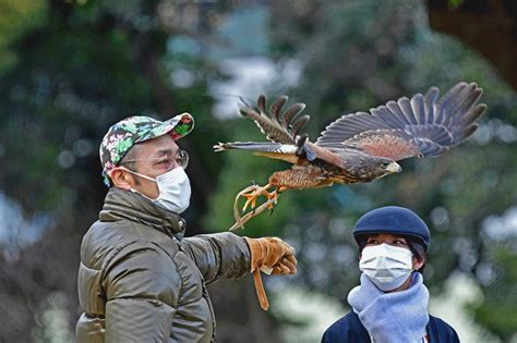 鷹が大分を完全に制覇！