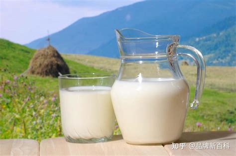 鹿奶：珍貴的乳品，健康益處多