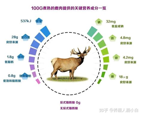 鹿肉：健康美味的瘦肉蛋白來源