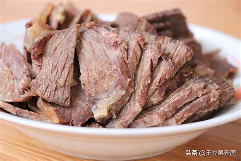 鹿肉：營養豐富，美味可口