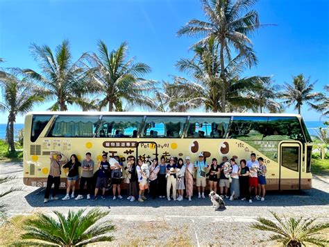 麻吉旅遊：打造專屬回憶，展開精彩旅程