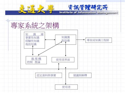 黃金馬鈴薯的無限潛力：深入探討其營養價值、應用與未來趨勢