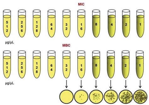 黏液測試（MUC Test）：揭開黏液相關疾病的神秘面紗