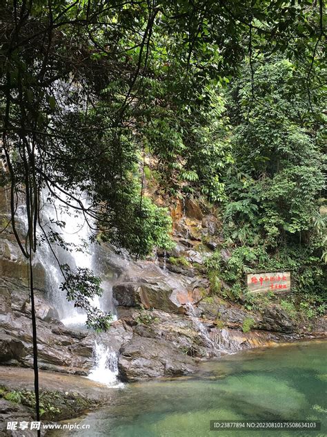 鼎湖山：生態旅遊勝地