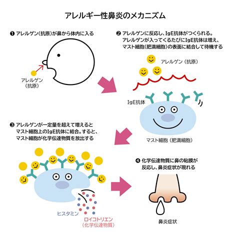 鼻炎：