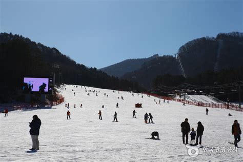 龍平渡假村：