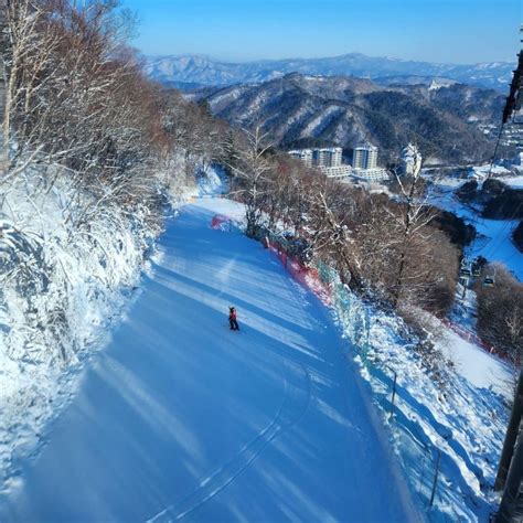 龍平滑雪場：