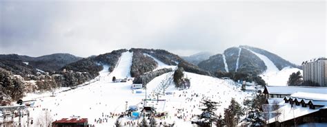 龍平滑雪場 (Yongpyong Resort)