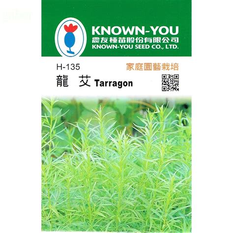 龍蒿草：一種用途廣泛的香草