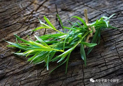 龍蒿（Tarragon）中文