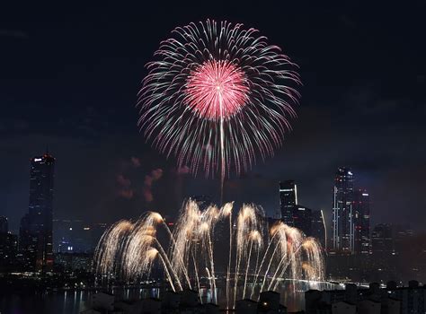 서울 櫻花季，漫遊城市花海