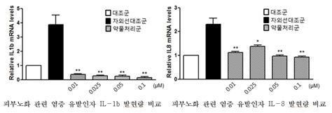 항염증 효과